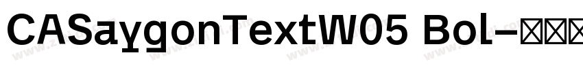 CASaygonTextW05 Bol字体转换
